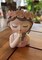 Small Fairy Succulent Plant Pot Face Planters Pots Head Flowerpot Cute Little Girl with Drainage Hole Succulent Cactus Flower Head Planters